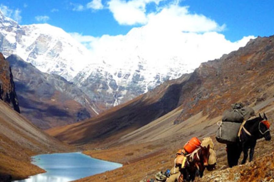 Dagala Trek