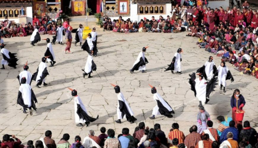 Black Necked Crane Festival