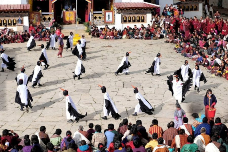 Black Necked Crane Festival